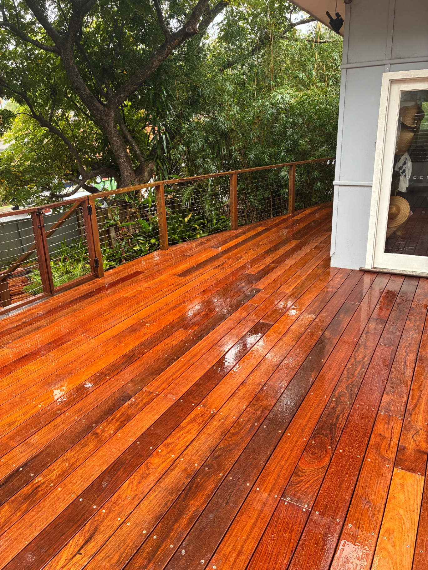 Rebuilt merbau front entry deck at an Avoca Beach home with wire balustrade and bushland outlook